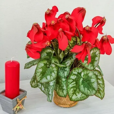 Apartamento Moderno Sulle Piste Breuil-Cervinia