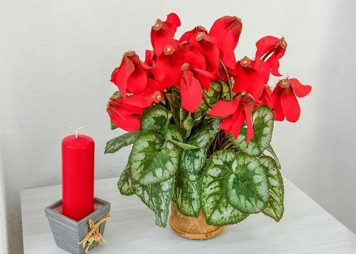 Lejlighed Moderno Sulle Piste Breuil-Cervinia